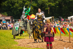 Reitershow280724_0008