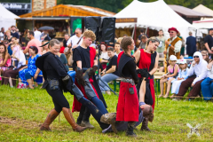 Reitershow280724_0010