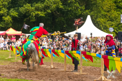 Reitershow280724_0022