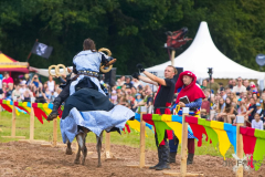 Reitershow280724_0023