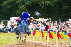 Reitershow280724_0027