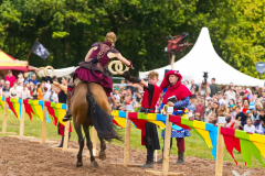 Reitershow280724_0029