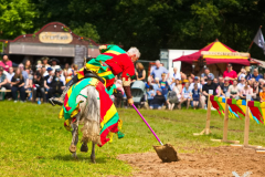 Reitershow280724_0033