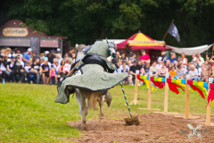 Reitershow280724_0034