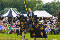 Reitershow280724_0036