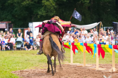 Reitershow280724_0037