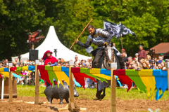 Reitershow280724_0039