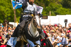 Reitershow280724_0040