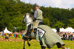 Reitershow280724_0041