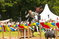 Reitershow280724_0042