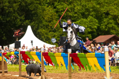 Reitershow280724_0044