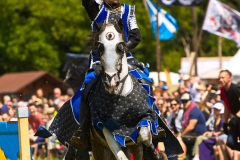 Reitershow280724_0045