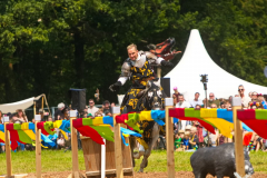 Reitershow280724_0048