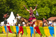 Reitershow280724_0049