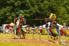 Reitershow280724_0050