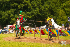 Reitershow280724_0051
