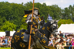 Reitershow280724_0052