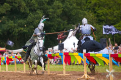 Reitershow280724_0053