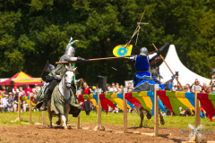 Reitershow280724_0055