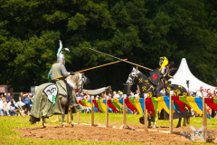 Reitershow280724_0056