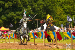 Reitershow280724_0057