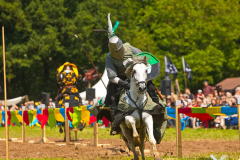 Reitershow280724_0058