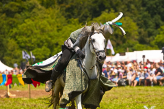 Reitershow280724_0059