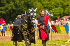 Reitershow280724_0063