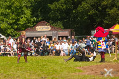 Reitershow280724_0065