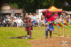 Reitershow280724_0067