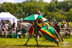 Reitershow280724_0070