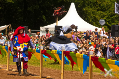 Reitershow280724_0071