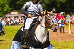 Reitershow280724_0072