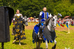 Reitershow280724_0074