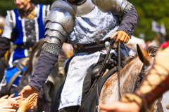 Reitershow280724_0076