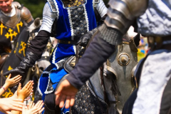 Reitershow280724_0077