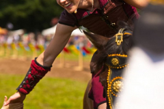 Reitershow280724_0078