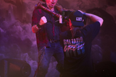 SaltatioMortisSpeyer240824_0051