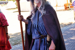 081313_06_108X0A4707