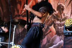 090317_11_18IMG_5137