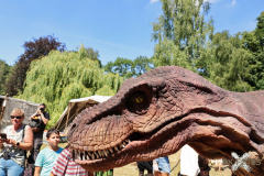 072413_52_038X0A0857