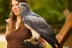 SkyhuntersMPSLuhmuehlen2024_0001