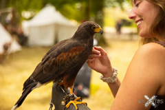 SkyhuntersMPSLuhmuehlen2024_0005