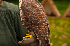 SKHKoeln2025_Skyhunters_14