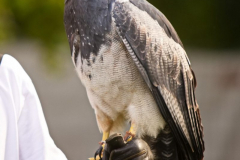 SkyhuntersSKHKoeln2024_0008