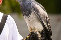 SkyhuntersSKHKoeln2024_0009