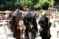 081413_08_168X0A7393