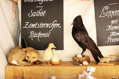 081412_00_118X0A7279