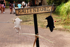 081415_42_378X0A7589