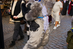 MysticaHamelon2026_313